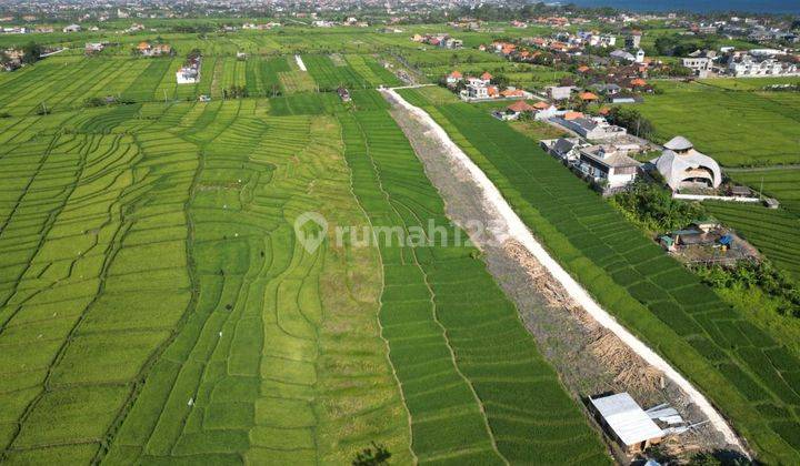 TANAH VIEW LAUT DAN SAWAH CANTIK DI CEMAGI CANGGU AREA  2