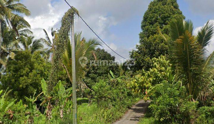 TANAH KEBUN TERMURAH DI WANAGIRI TABANAN  1