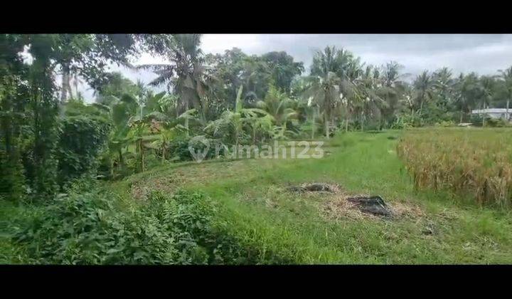 TANAH SEWA VIEW SAWAH KEREN COCOK VILLA DI UBUD CENTER  1