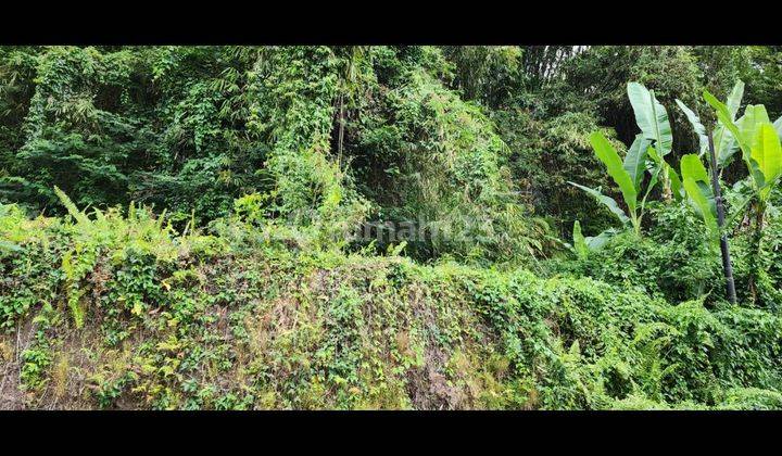 LAND WITH A SUPER BEAUTIFUL AND QUIET VIEW IN THE UBUD AREA  2