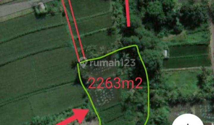 CHEAP RICE VIEW LAND FOR SALE, SUITABLE FOR INVESTMENT NEAR THE BEACH  1