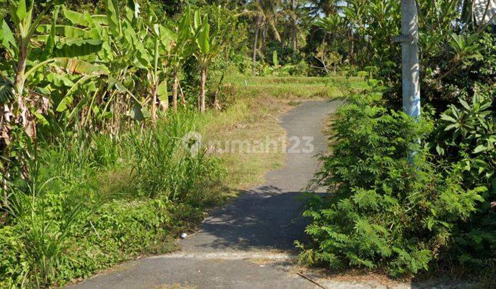 CHEAP RICE VIEW LAND FOR SALE, SUITABLE FOR INVESTMENT NEAR THE BEACH  2