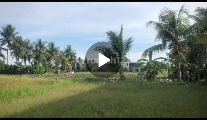 CHEAPEST LAND IN CENTRAL UBUD SUITABLE FOR VILLA/HOTEL 2