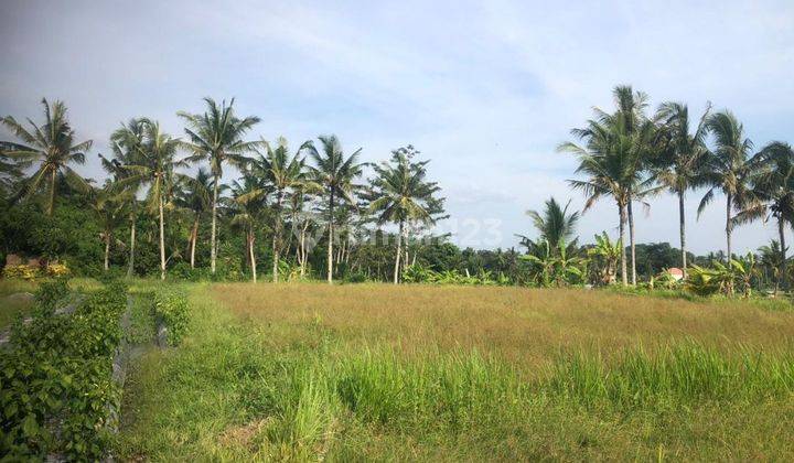 CHEAPEST LAND IN CENTRAL UBUD SUITABLE FOR VILLA/HOTEL 1