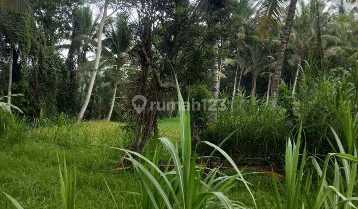 BEAUTIFUL VIEW LAND SUITABLE FOR PRIVATE VILLA AND RENTAL  1