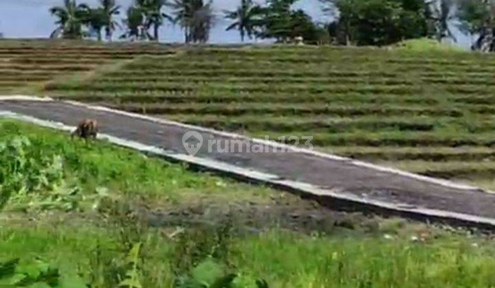 TANAH VIEW SAWAH TERASERING KEREN DEKAT PANTAI LIMA PERERENAN  2