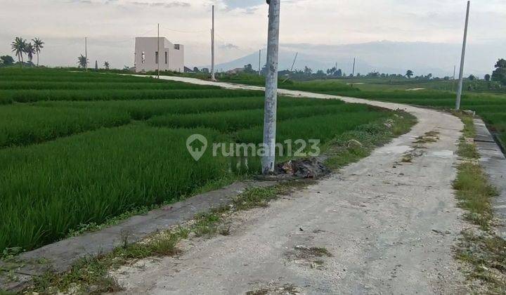 TANAH VIEW SAWAH GUNUNG KEREN DI CANGGU AREA  1