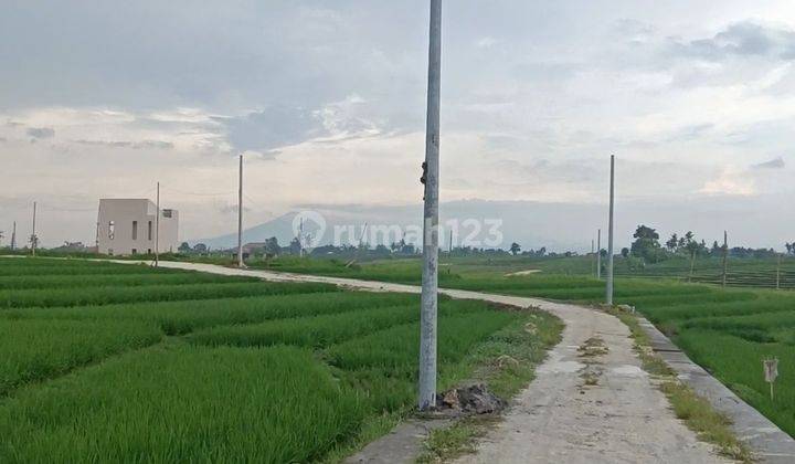 TANAH VIEW SAWAH GUNUNG KEREN DI CANGGU AREA  2