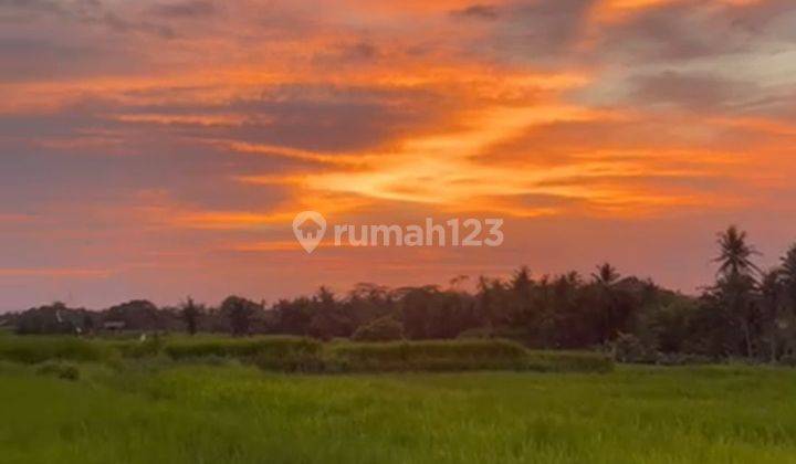 TANAH VIEW SUNSET DAN SAWAH KEREN CEMAGI CANGGU AREA  2