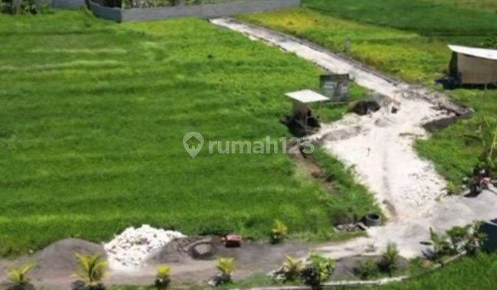 TANAH VIEW SAWAH CANTIK DEKAT PANTAI PERERENAN CANGGU  1