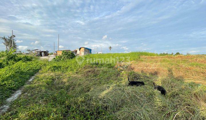 TANAH VIEW LAUT GUNUNG SAWAH SUPER KEREN PERERENAN  2