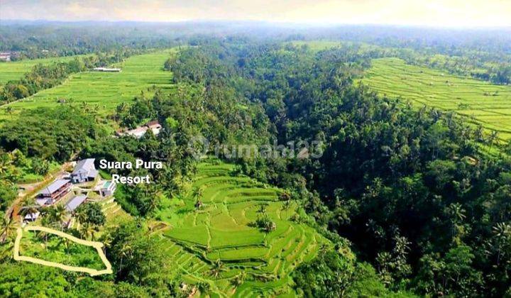 LAND WITH BEAUTIFUL TERRACED RICE VIEW LAND, COOL BREATH SUITABLE FOR VILLA 1