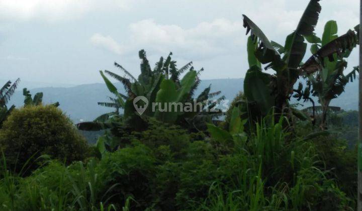 TANAH VIEW LAUT DAN LEMBAH DI MUNDUK COCOK VILLA RENTAL  1