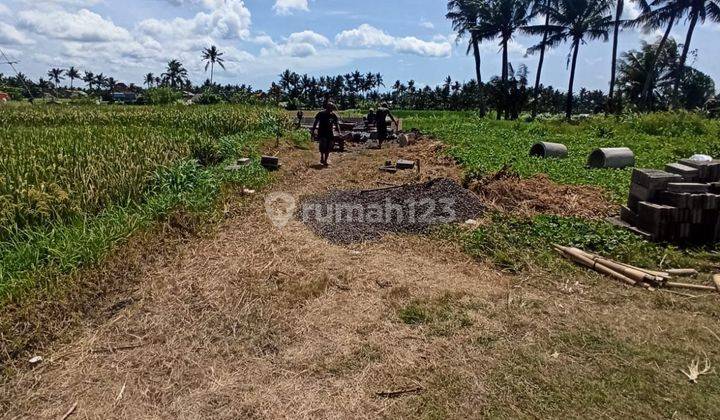 TANAH VIEW CANTIK HARGA TERMURAH DI PANTAI SABA  1