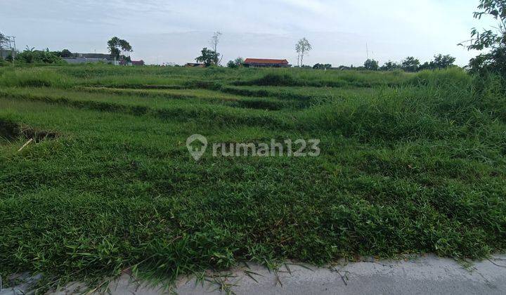 CHEAPEST LAND IN UMALAS BUMBAK BEAUTIFUL VIEW VILLA ENVIRONMENT  1