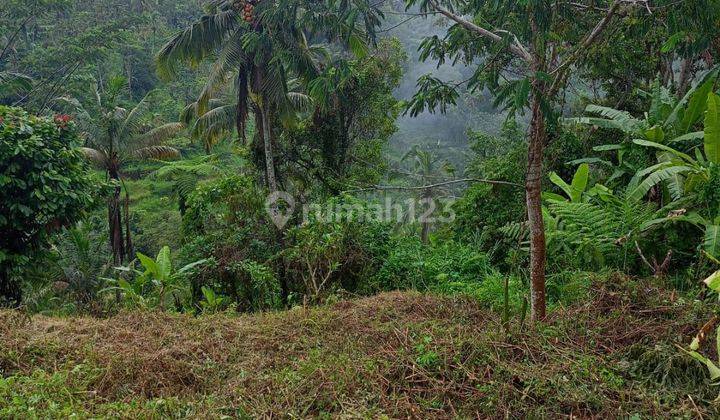 SUPER BEAUTIFUL VIEW LAND NORTH OF UBUD SUITABLE FOR VILLA RENTAL  2