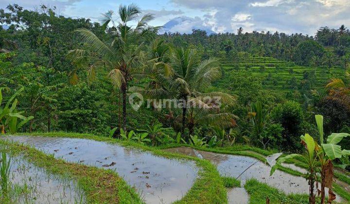 SUPER BEAUTIFUL VIEW LAND NORTH OF UBUD SUITABLE FOR VILLA RENTAL  1