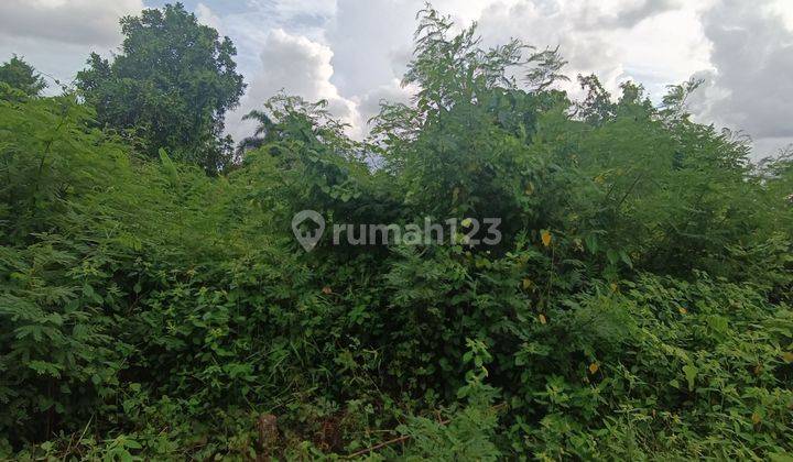 COOL VILLA ENVIRONMENTAL LAND 6 METERS ROAD NEAR SABA BEACH 2