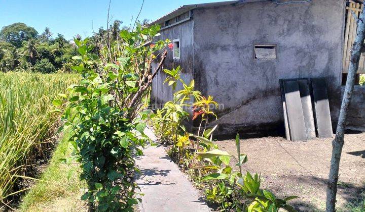 Tanah Zona Kuning Paling Murah Di Cemagi Dekat Pantai  1