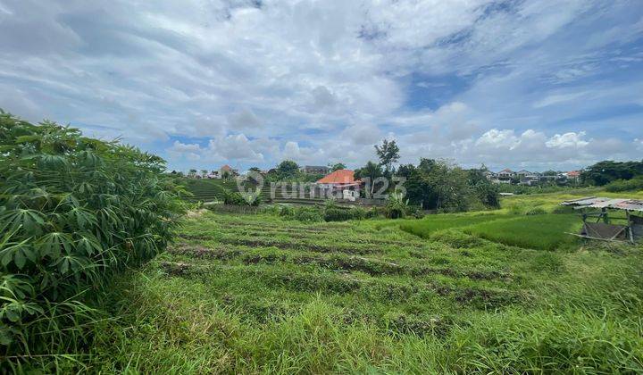 Tanah Zona Kuning Paling Murah Di Cemagi Dekat Pantai  2