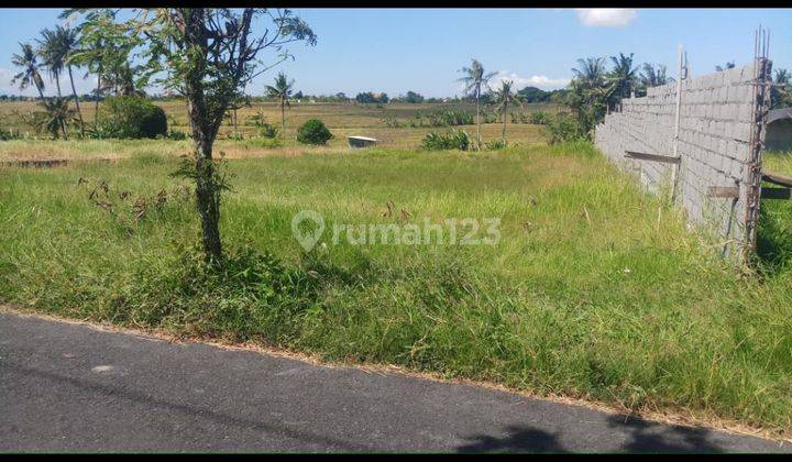 LAND SUITABLE FOR RESTAURANT AND VILLA RENTAL SIDE THE MAIN ROAD  1