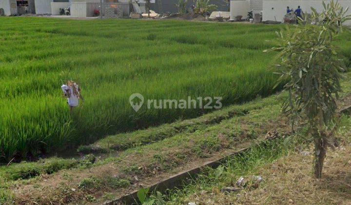 TANAH DEKAT PANTAI SESEH VIEW CANTIK LINGKUNGAN VILLA  1