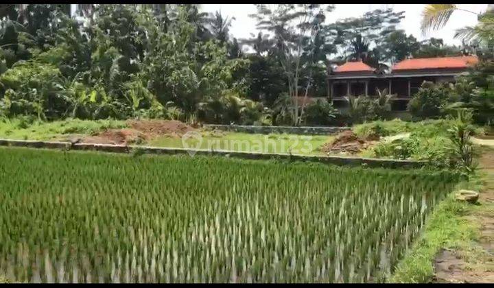 TANAH ASPEK PERUMAHAN PALING MURAH DI TIMUR UBUD  1