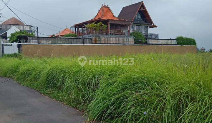 SUPER COOL RICE VIEW LAND NEAR PURNAMA BEACH  2