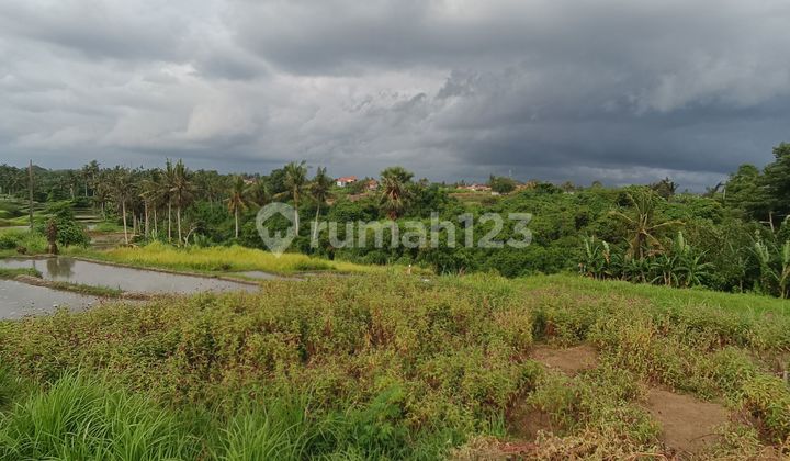 TANAH VIEW GUNUNG AGUNG SAWAH TERASERING LINGKUNGAN VILLA TANAH VIEW GUNUNG AGUNG SAWAH TERASERING LINGKUNGAN VILLA
