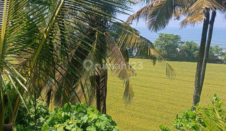 TANAH VIEW OCEAN SAWAH TERASERING DAN LEMBAH SUPER CANTIK BALIAN 2