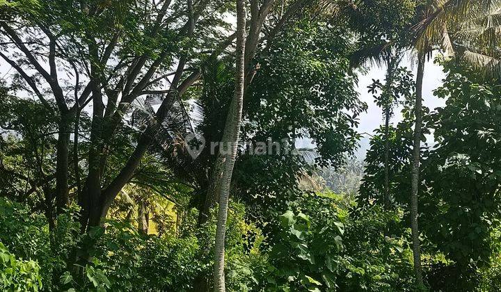 TANAH LOS PANTAI UKURAN KECIL LANGKA DI BALIAN BEACH 2