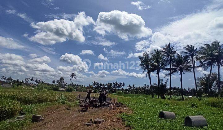 Tanah Ukuran Kecil View Sawah Dekat Pantai Saba 1