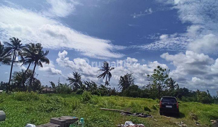 Tanah Ukuran Kecil View Sawah Dekat Pantai Saba 2