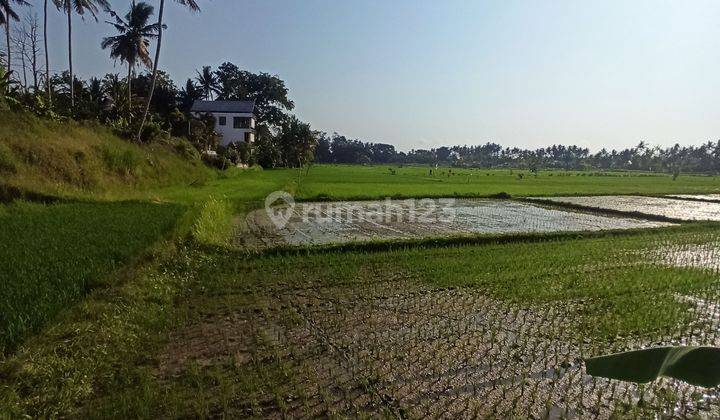 TANAH VIEW SAWAH DAN SUNSET KEREN DESA MAS UBUD 1