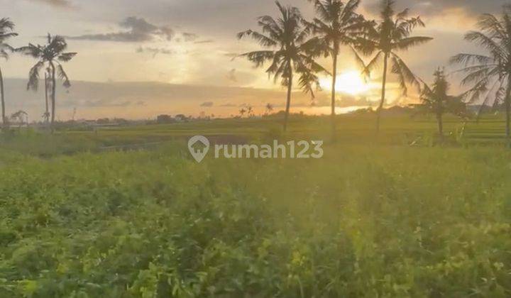 BEAUTIFUL SUNSET AND RICE FIELD VIEW IN PERERENAN CANGGU  1