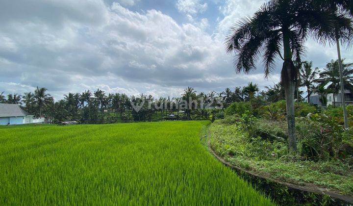 TANAH SEWA VIEW CANTIK DI CENTRAL UBUD COCOK VILLA RENTALS 1