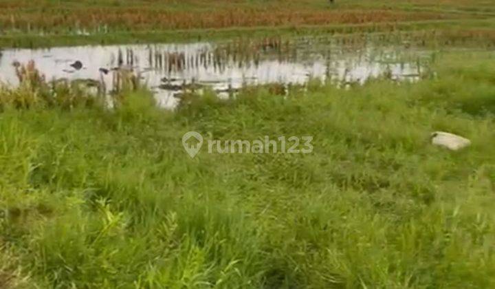 TANAH SEWA DI CENTRAL UBUD HARGA TERMURAH VIEW SAWAH