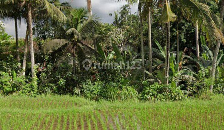 LAND FOR LUXURY VILLA COMPLEX VIEW JUNGLE RICE RICE VALLEY SUNSET RIVER 1