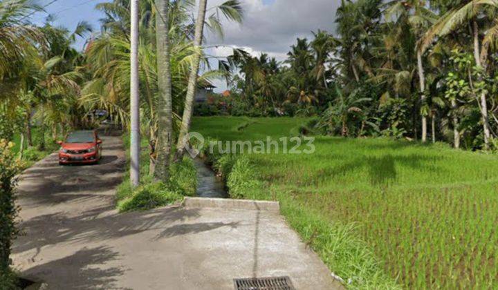 LAND FOR LUXURY VILLA COMPLEX VIEW JUNGLE RICE RICE VALLEY SUNSET RIVER 2