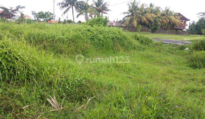 LAND FOR RENT COOL FIELD VIEW COOL AIR SUITABLE FOR VILLA 2