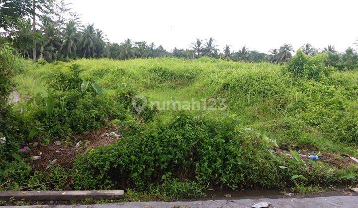 LAND FOR RENT COOL FIELD VIEW COOL AIR SUITABLE FOR VILLA 1