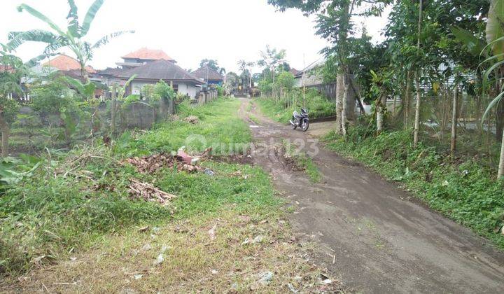 TANAH KEBUN COCOK INVESTASI HARGA MURAH UDARANYA SEJUK  1