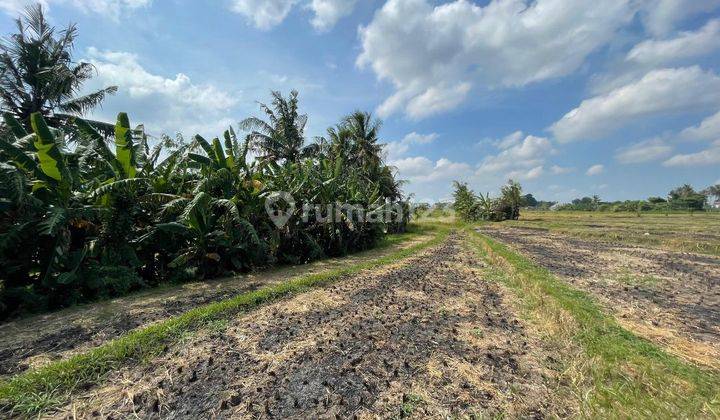 TANAH ZONA KUNING TERMURAH DI PANTAI NYANYI VIEW SAWAH 1