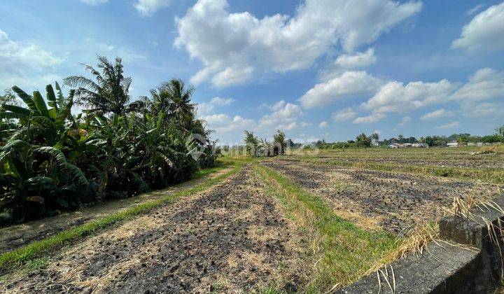 TANAH ZONA KUNING TERMURAH DI PANTAI NYANYI VIEW SAWAH 2