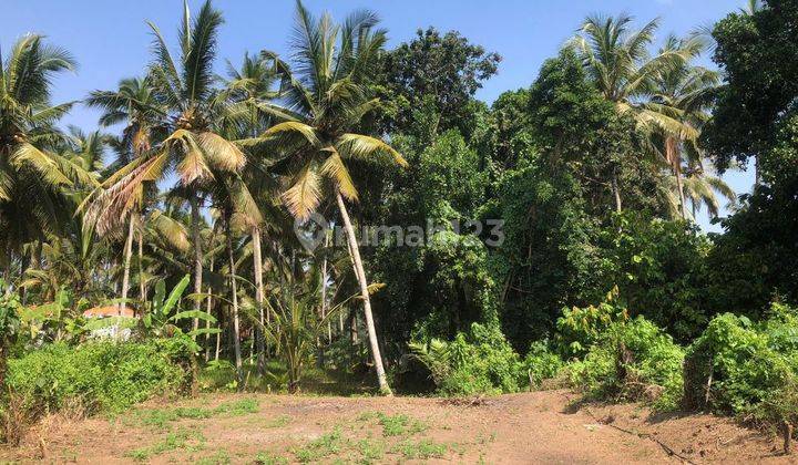 LAND READY TO BUILD VILLA IN LODTUNDUH UBUD CHEAP PRICE  1