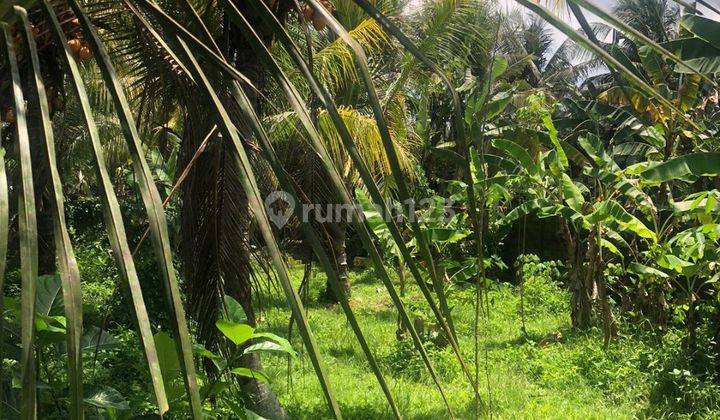 ROADSIDE LAND SUITABLE FOR VILLA RENTAL AT CHEAP PRICES  2