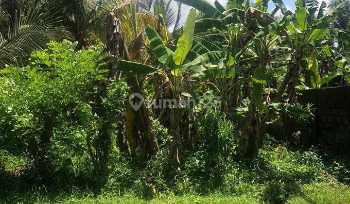 ROADSIDE LAND SUITABLE FOR VILLA RENTAL AT CHEAP PRICES  1