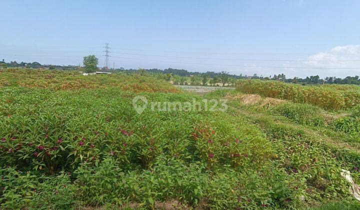 LAND FOR SALE NEAR GRACIA HOTEL LODTUNDUH COOL VIEW 1