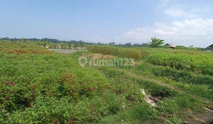 LAND FOR SALE NEAR GRACIA HOTEL LODTUNDUH COOL VIEW 2