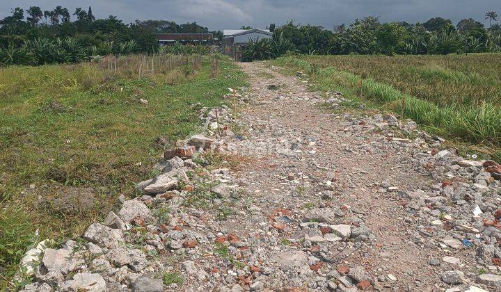 TANAH VIEW SAWAH CANTIK COCOK VILLA RENTAL DI KEROBOKAN  1